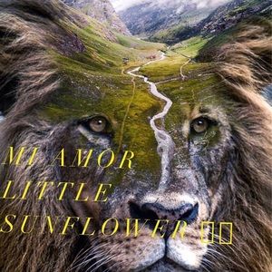 Meet your Posher, Katelyn